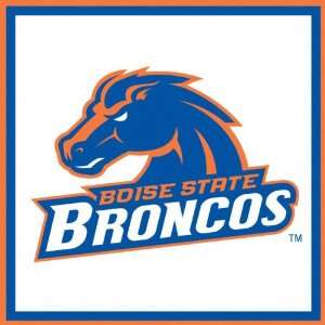 Boise State Broncos Paper Cube 