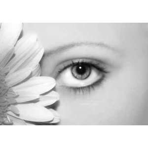 Auge Und Blume   Peel and Stick Wall Decal by Wallmonkeys  