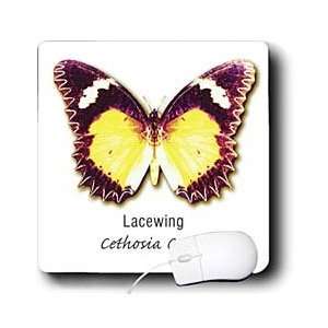  Boehm Graphics Butterfly   Lacewing Butterfly   Mouse Pads 