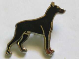 Doberman Pin Badge Dog PIN Black 1/2  