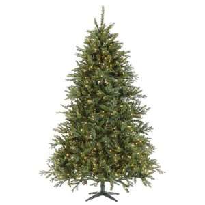  7.5hx62d Jeffrey Spruce Tree X4078 Pe/Pvc Tips & 800 