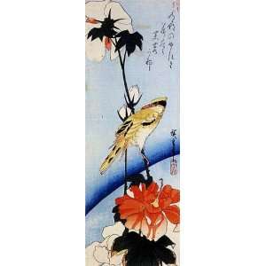 com FRAMED oil paintings   Ando Hiroshige   24 x 68 inches   Hibiscus 