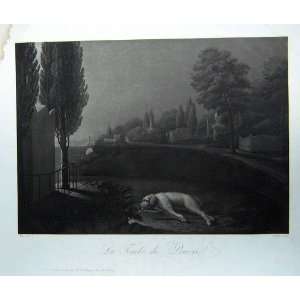  Etching Tombe Du Lauvrel Dog Lying Gravestone C1850