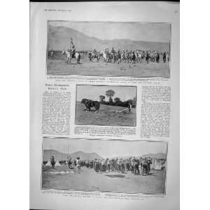   LHASA PLOUGHING DUNMOW DUTCH PARLIAMENT WILHELMINA