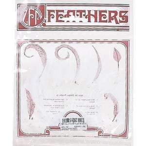  Zucker Feather Hackle 1/2 Plate White (3 Pack) Pet 