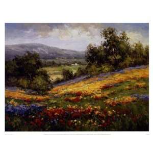 Campo Di Fiore I by Peter Hulsey 17x13  Grocery & Gourmet 