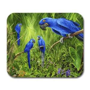  Four Hyacinth Macaws Bird Parrot Art Mouse Pad Everything 