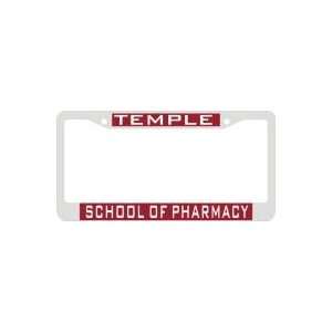 Temple Metal Frame