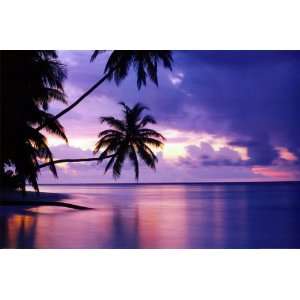  Tropical Sunset   Inspirational Posters   24 x 36