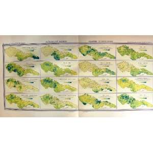  1935 Map Czechoslovakia Prumyslove Plodiny Plantes