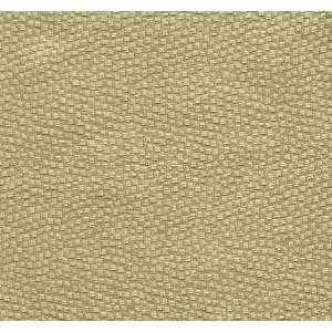  1753 Jarreth in Sugar by Pindler Fabric