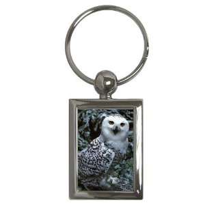  Owl Key Chain
