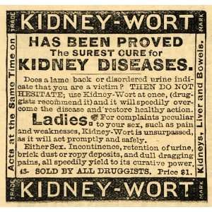  1882 Ad Kidney Wort Cures Kidney Disease Back Pricing 