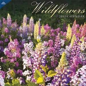  Wildflowers 2012 Wall Calendar