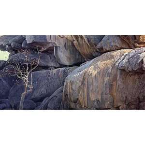 Robert Bateman   Kopje Lookout Leopard Canvas Giclee