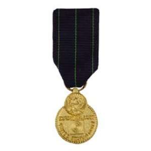  U.S. Navy Expert Rifleman Mini Medal Patio, Lawn & Garden