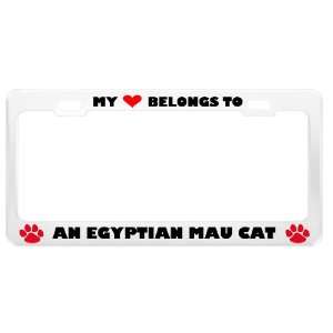  An Egyptian Mau Cat Pet White Metal License Plate Frame 