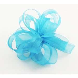   Sheer Ribbon, 5/8 Wide, 15 Yards, Blue Grotto 