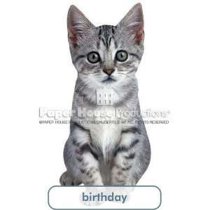   Kitten Birthday Card Paper House Productions