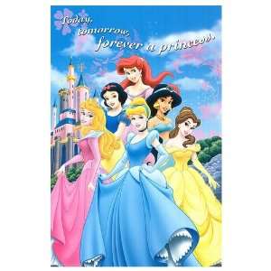 Disney Princess Movie Poster, 22.25 x 34 