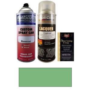   Can Paint Kit for 2004 Volkswagen Phaeton (LR6Y/9966) Automotive