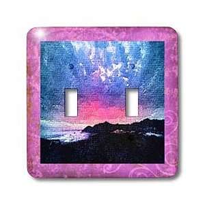Susan Brown Designs Nature Themes   Night Sky   Light Switch Covers 