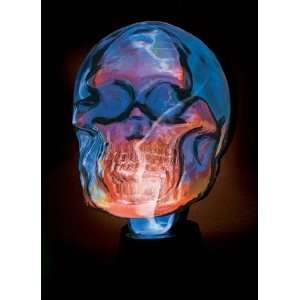 Novelty Lamp   Spooky Electra Lamp in Blue / Red   LumiSource   LSE SK 