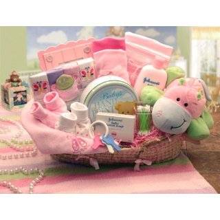 Art of Appreciation Sweet Baby Special Delivery Gift Basket (Girl Pink 