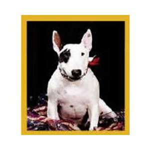 Magnetic Bookmark English Bull Terrier Puppy, Beautiful and Colorful 