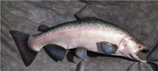 NEW XXL 36 inch Chinook Salmon Mount Quality A+  