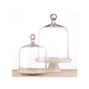 Glass Cloche 