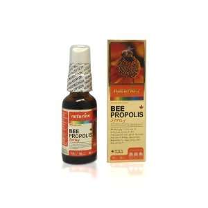  Naturion Bee Propolis Spray Antioxidant & Antibiotic 30ml 