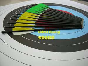 12 high quality fiberglass practice arrows 12.2 for Crossbow  