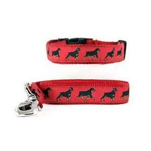 Rottweiler Collar & Leash
