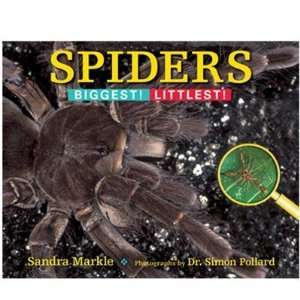   Learning Products 8875 Spiders   Biggest Littlest