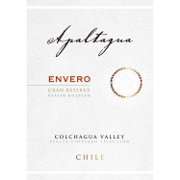 Apaltagua Envero Carmenere 2009 