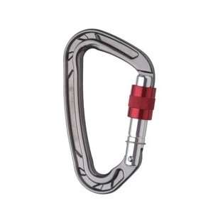 Ion Screwgate Carabiner Silver/Grey/Red 000 by Wild Country  