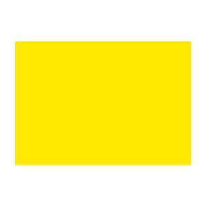  Erengi Art Aspirer Oil Pastel   Box of 12   Cadmium Yellow 