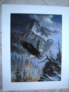 Tom Dooley Signed and Numbered Ltd Edition Eagle Print  