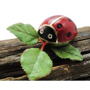com Cute As a Bug Colorful Ladybug with Emerald Austrian Crystal Eyes 