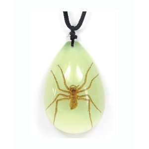    Real Insect Necklace Wolf Spider (Big/glow) 