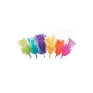  All Purpose Assorted Craft Feathers   Neon 14g