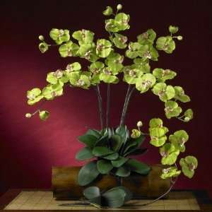   Phalaenopsis Silk Orchid Flower w/Leaves (6 Stems)