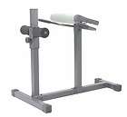 apex back hyper extension roman chair weight bench 
