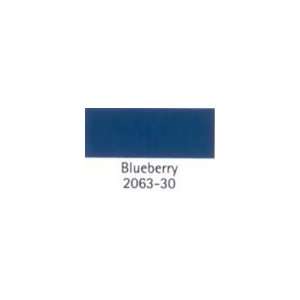  BENJAMIN MOORE PAINT COLOR SAMPLE Blueberry 2063 30 SIZE2 