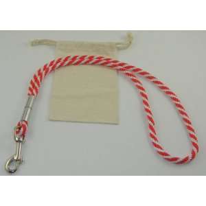  Leashinabag 3/8 inch Red Stripe Derby Rope Dog Traffic 