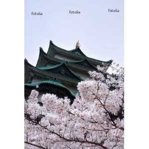  The Japanese Castle 12x18 Giclee on canvas