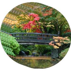  Rikki KnightTM Japanese Garden Art Coasters   Beer 