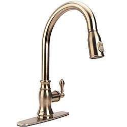 Fountain Cove Stainless Pull down Kitchen Faucet  