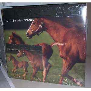   Month 2011 Wall Calendar   Horses & Pocket Calendar 